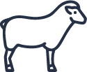 icone_brebis_bleu